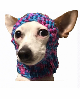 Dog Hat with Ear Hole Chihuahua pattern 