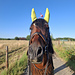 Perfect Match Fly Bonnet pattern