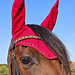 Perfect Match Fly Bonnet pattern