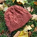 Falling Leaves Hat pattern 