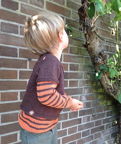 2i1 Glad Striper - Ellen Larsen