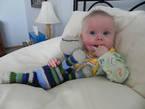 Sock  Giraffe photo 6