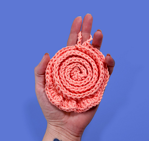 Spiral Shell Facial Scrubbie