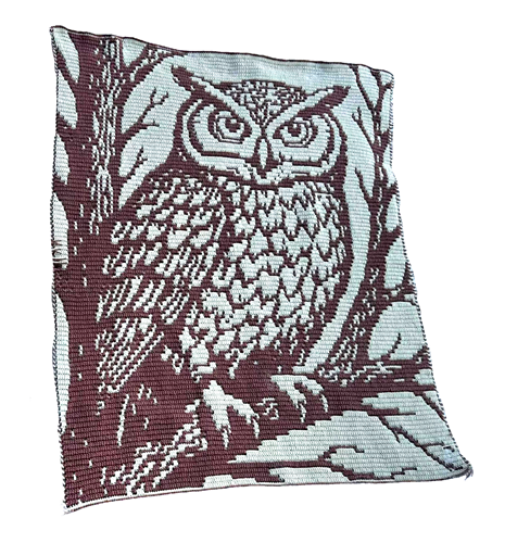 Night Owl - Overlay Mosaic Crochet Blanket 다른 모습 2