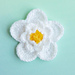 Blooming Jasmine Flower pattern