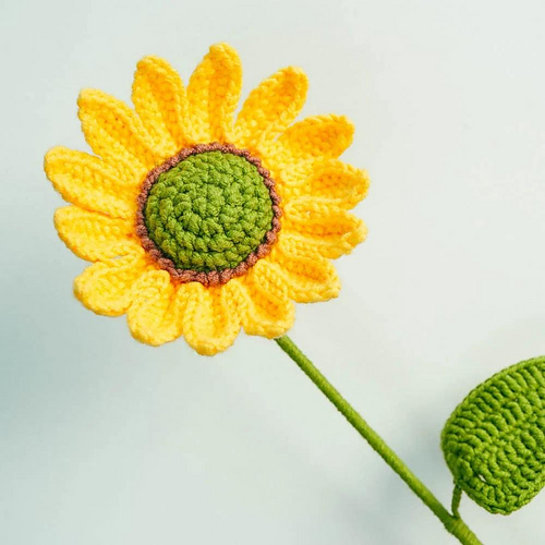 Brown Ring Sunflower