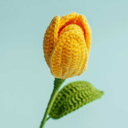 Easy Tulip