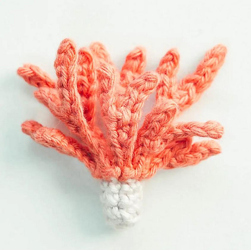 Cluster Coral