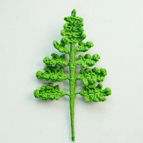 Fern Leaf
