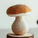 Boletus Edulis Mushroom pattern