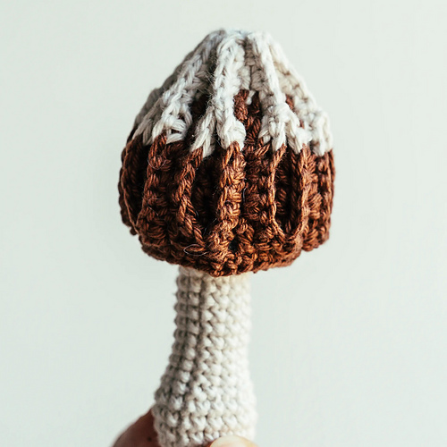 Morel Mushroom