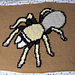 Western Desert Tarantula Tapestry pattern 