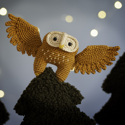 owl様 owl3_medium.jpg