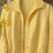 Danube Jacket pattern