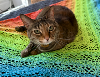 Freya!