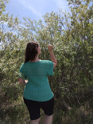 The Aerwyna Blouse photo 12
