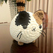 Cozy Cat pattern