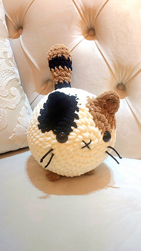 Cozy cat
