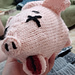 lord of the flies pig's head pattern
