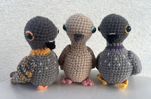 mourning dove / pigeon