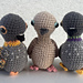 mourning dove / pigeon pattern 