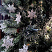 Snowflake "White frost" pattern 