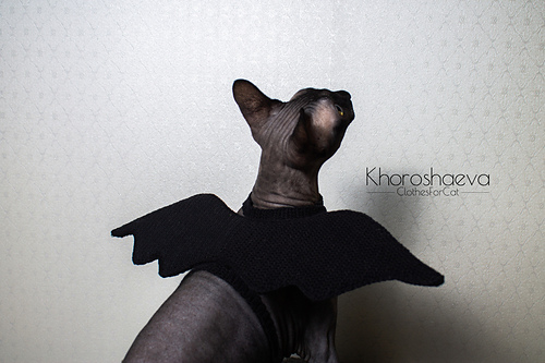 Halloweenkostyme til katt - Irina Khoroshaeva
