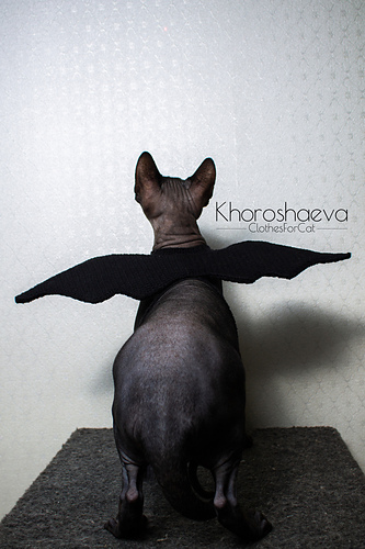 Halloweenkostyme til katt - Irina Khoroshaeva