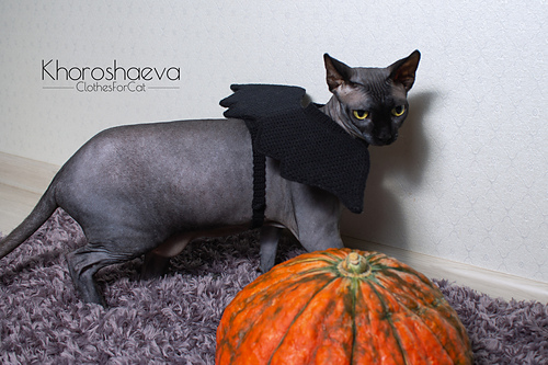 Halloweenkostyme til katt - Irina Khoroshaeva