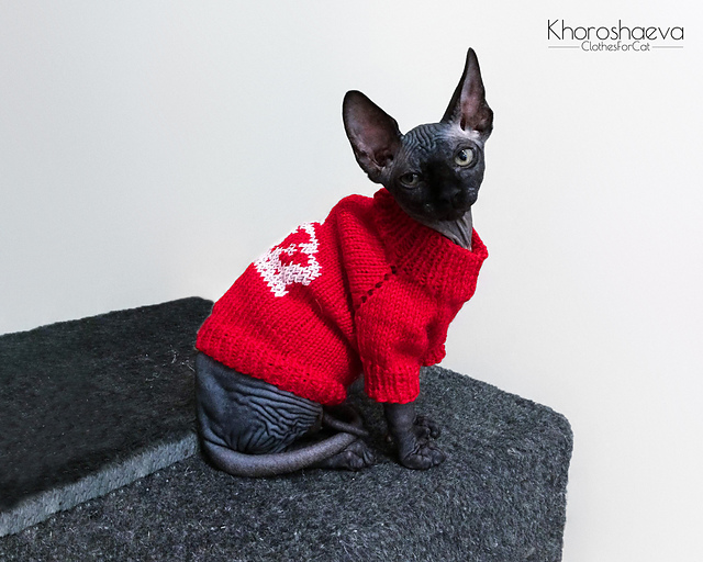 kitten sweater pattern