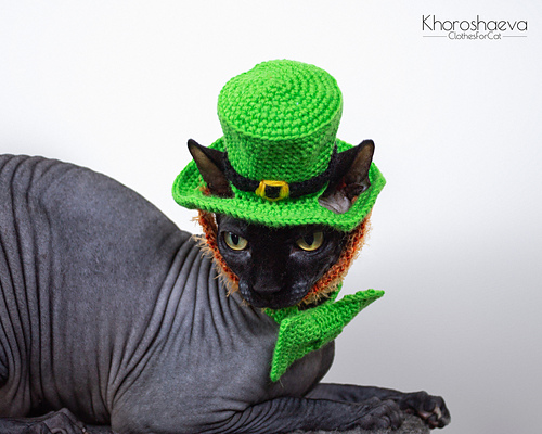 St Patrick's kostyme til katt - Irina Khoroshaeva