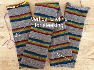 Vertical lifeline placed in the same column for the length of the tube.