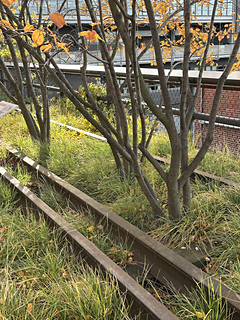The High Line - W13th St