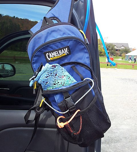 Itty Bitty Ditty Bag photo 6