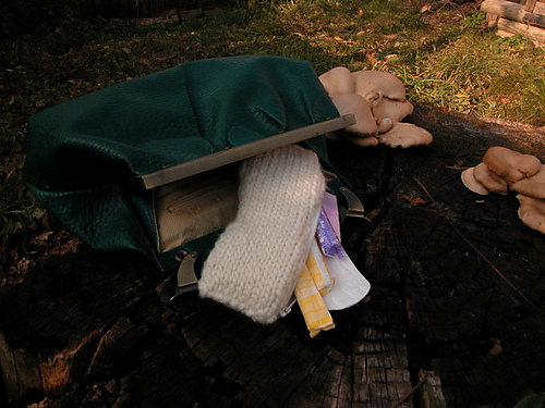 Panty Liner Case photo 3