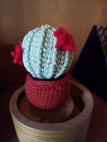 Barrelkaktus - Jani22
