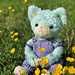 Teddy bear dungarees and top pattern