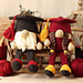 Graduation Gnome pattern 