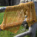 Golden Fields Lace pattern 