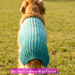 Max's Dog Sweater pattern 