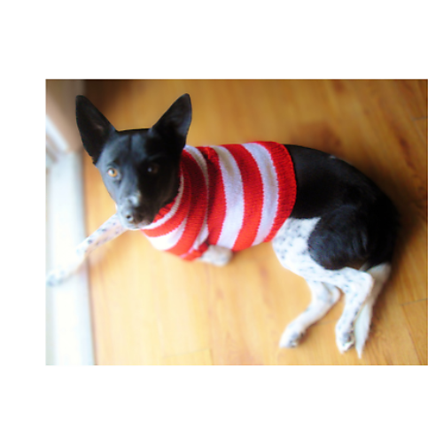 Hundegenser Waldo (og katter også!) - Jeslane