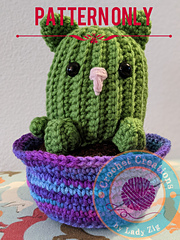 Catcus in a pot