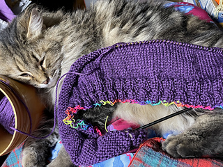 2025-01-31 s_l_o_w_l_y