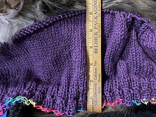 2025-02-02 ~6.5” still 112 sts.