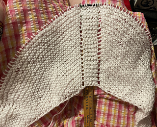 2023-08-10 at 137 stitches.