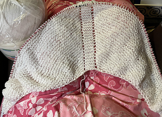 2023-08-14 at 173 stitches.