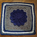 Pane in my Dahlia photo 3