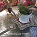 Wish Star Doily photo 4