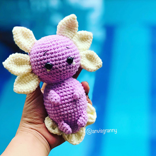 Axolotl photo 4