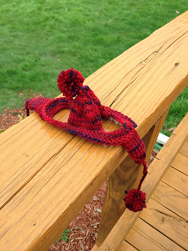 Holly's Hat photo 4